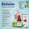Abdomin Syrup – Ayurvedic Digestive Tonic for Complete Bowel Wellness | Sugar-Free Formula | 200 ml - Image 5