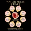 PINKPETAL Expert Intimate Lightening Serum (50ml) – For Brighter Underarms & Intimate Sensitive Areas Skin Tone | Gentle & Safe | - Image 4